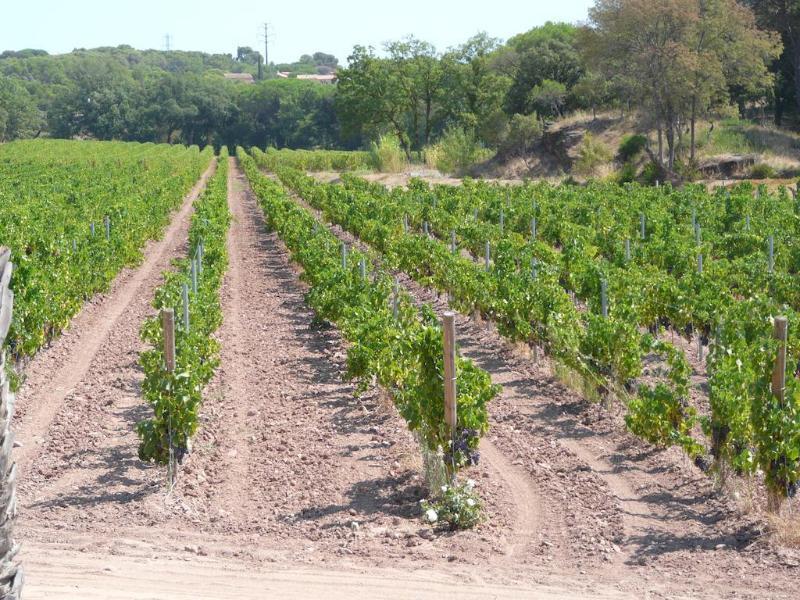 La Bastide Du Clos Des Roses - Teritoria Fréjus Exterior foto